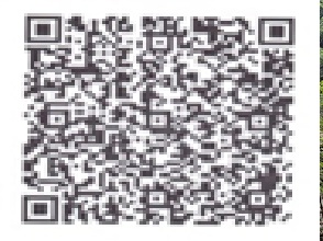PhonePe QR Code